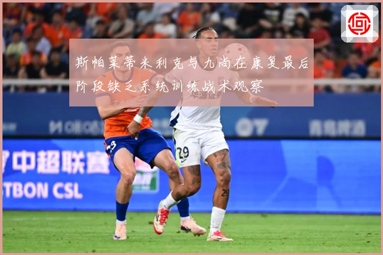 斯帕莱蒂米利克与九尚在康复最后阶段缺乏系统训练战术观察