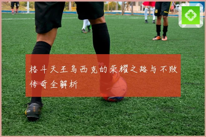 格斗天王乌西克的荣耀之路与不败传奇全解析
